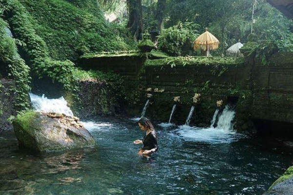 package curated journey - Connect to nature 1