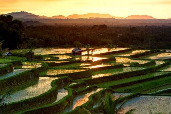 bali instagram tour - 6